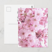 Roze bloemen Japanse Cherry Blossom Briefkaart (Voorkant / Achterkant)