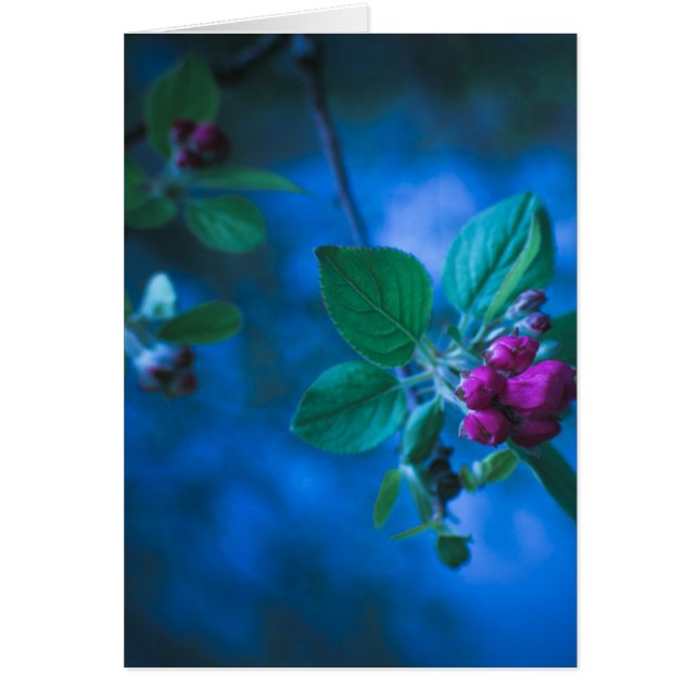 Roze bloemen-kaart (Voorkant)