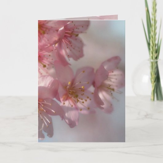 Roze bloemen Kaart (Voorkant)