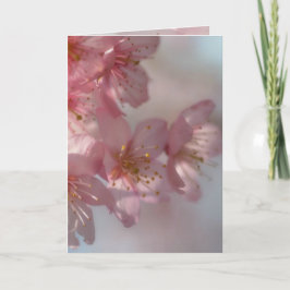 Roze bloemen Kaart