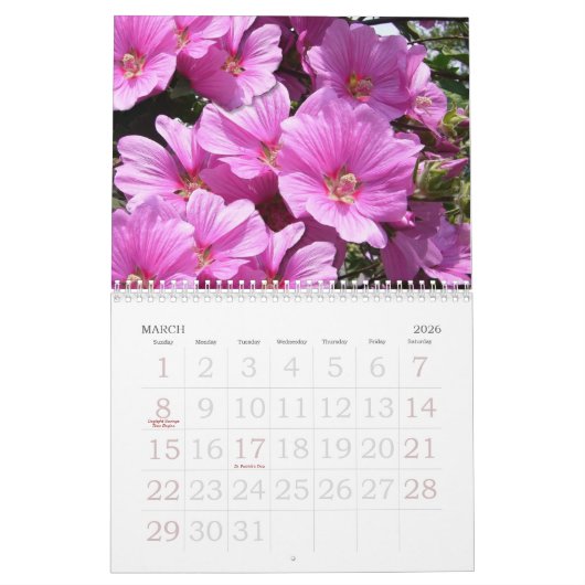 Roze Bloemen Kalender 2023 met Grote Aantallen (Mar 2026)
