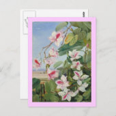 Roze Bloemen Lente Party Douche Vrede Liefde Desti Briefkaart (Voorkant / Achterkant)