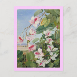 Roze Bloemen Lente Party Douche Vrede Liefde Desti Briefkaart