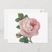  roze bloemen - Liefde, Miss U Hallo Briefkaart (Voorkant / Achterkant)