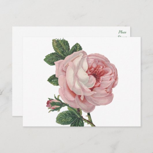  roze bloemen - Liefde, Miss U Hallo Briefkaart (Voorkant / Achterkant)