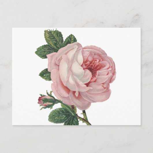  roze bloemen - Liefde, Miss U Hallo Briefkaart (Voorkant)