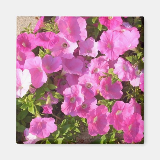 Roze bloemen magneet (Voorkant)