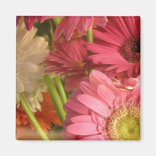 Roze bloemen magneet (Voorkant)