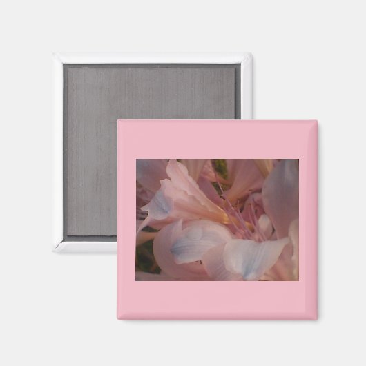 Roze bloemen magneet (Voorkant / Achterkant)