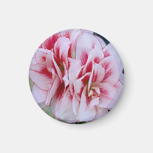 Roze bloemen Magnet (Voorkant)