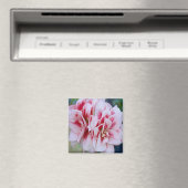Roze bloemen Magnet (Insitu (Vaatwasser))