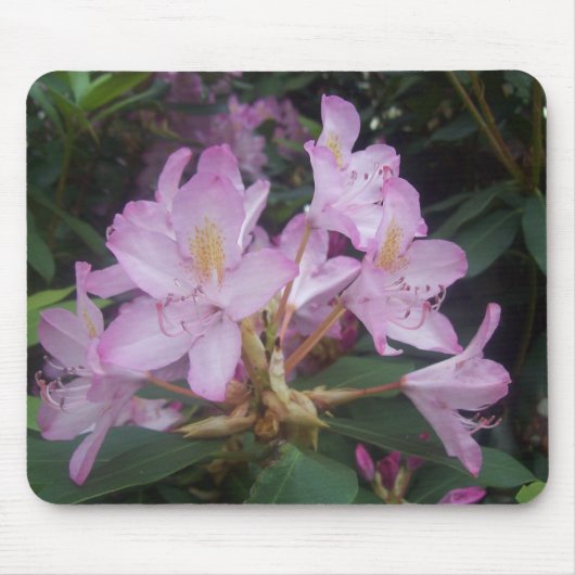 Roze bloemen muismat (Voorkant)