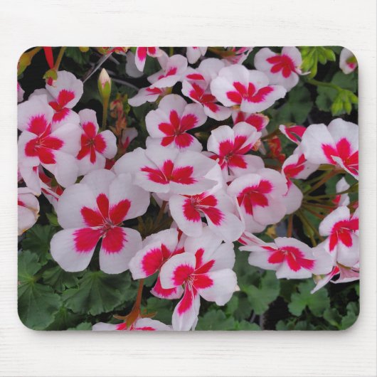 Roze bloemen muismat (Voorkant)
