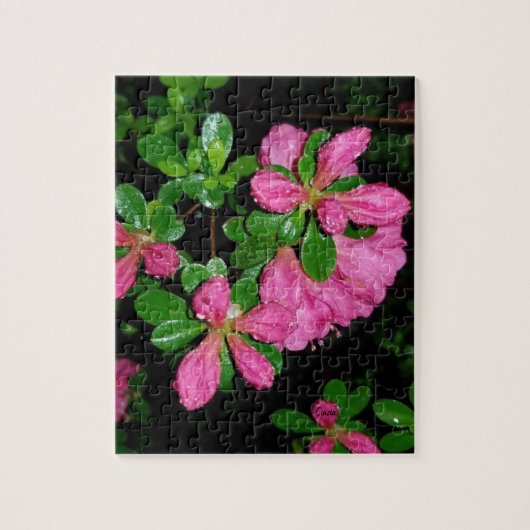 Roze bloemen na de regen legpuzzel (Verticaal)