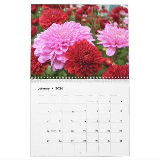 Roze Bloemen Natuur Bloemen Beauty Foto Kalender (Jan 2026)
