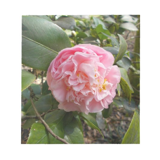 Roze Bloemen Notitieblok (Voorkant)