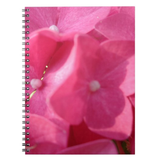 roze bloemen notitieboek (Voorkant)