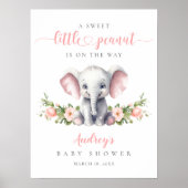 Roze Bloemen Olifant Baby Meisje Douche Welkom Poster (Voorkant)