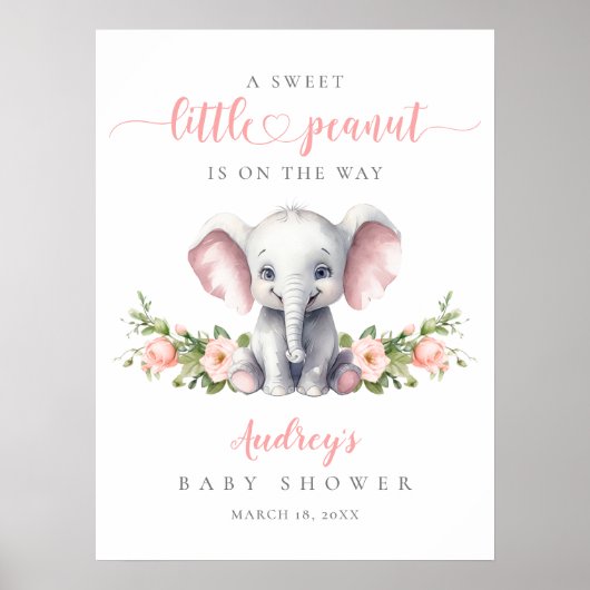 Roze Bloemen Olifant Baby Meisje Douche Welkom Poster (Voorkant)
