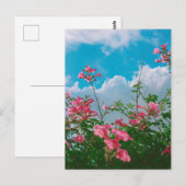 Roze Bloemen Onder Blauwe Hemel Met Wolken - Natuu Briefkaart (Voorkant / Achterkant)