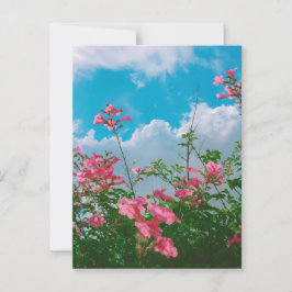 Roze Bloemen Onder Blauwe Hemel Met Wolken - Natuu Briefkaart