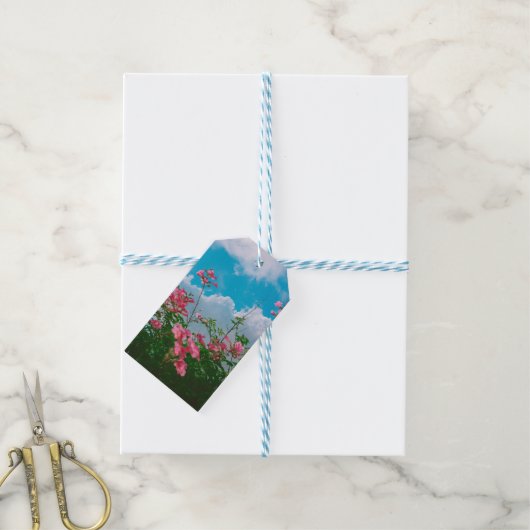 Roze Bloemen Onder Blauwe Hemel Met Wolken - Natuu Cadeaulabel (Met Touw)