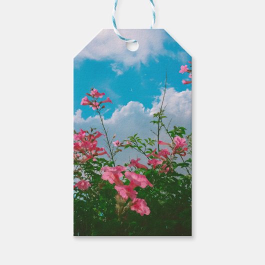 Roze Bloemen Onder Blauwe Hemel Met Wolken - Natuu Cadeaulabel (Voorkant)