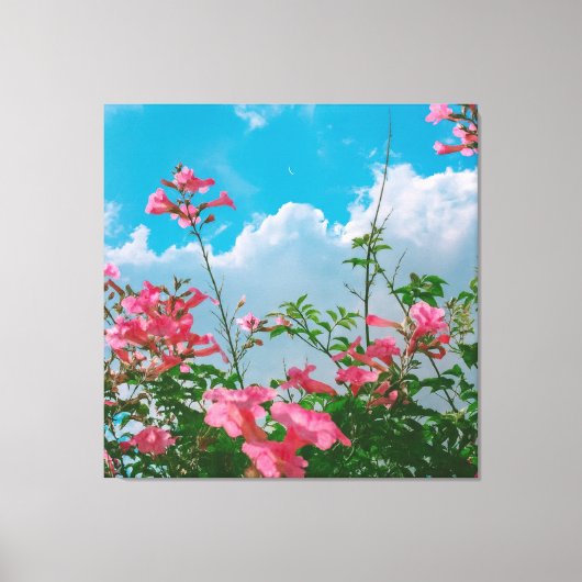 Roze Bloemen Onder Blauwe Hemel Met Wolken - Natuu Canvas Afdruk (Voorkant)