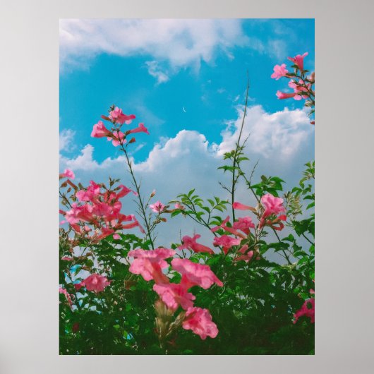 Roze Bloemen Onder Blauwe Hemel Met Wolken - Natuu Poster (Voorkant)