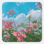 Roze Bloemen Onder Blauwe Hemel Met Wolken - Natuu Vierkante Sticker (Voorkant)
