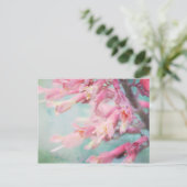 Roze bloemen op Aqua achtergrond Briefkaart (Staand voorkant)