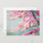 Roze bloemen op Aqua achtergrond Briefkaart (Voorkant / Achterkant)