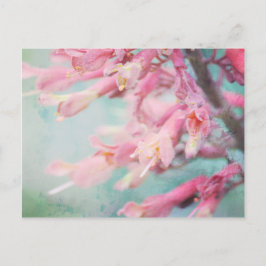 Roze bloemen op Aqua achtergrond Briefkaart