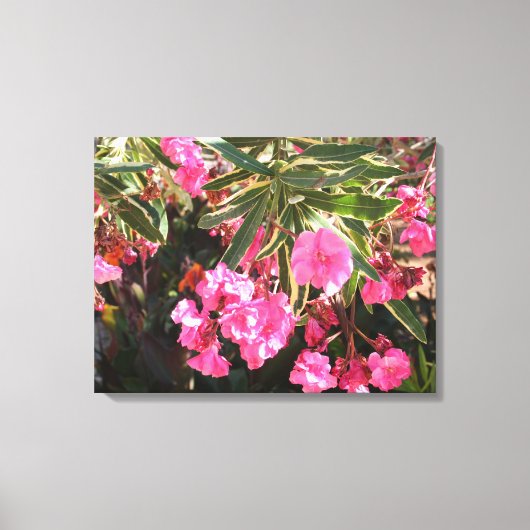 Roze bloemen op de boom canvas afdruk (Voorkant)