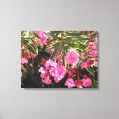 Roze bloemen op de boom canvas afdruk (Voorkant)