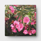 Roze bloemen op de boom fotoplaat (Voorkant)