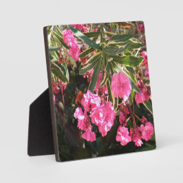 Roze bloemen op de boom fotoplaat