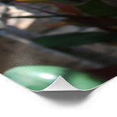 Roze bloemen op de boom perfect poster (Hoek)