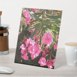 Roze bloemen op de boom reclamebord met voetstuk