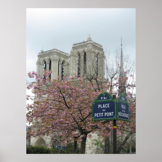 Roze bloemen op Notre Dame Poster (Voorkant)