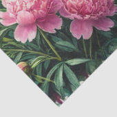 Roze bloemen  pioenen tissuepapier (Detail)