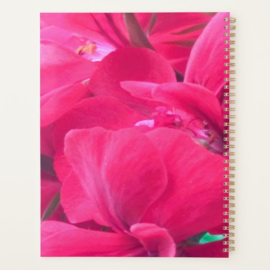 Roze bloemen Planner (Achterkant)