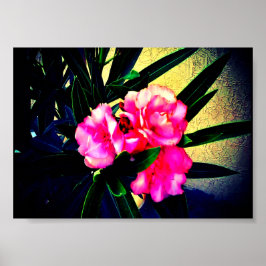 Roze bloemen poster