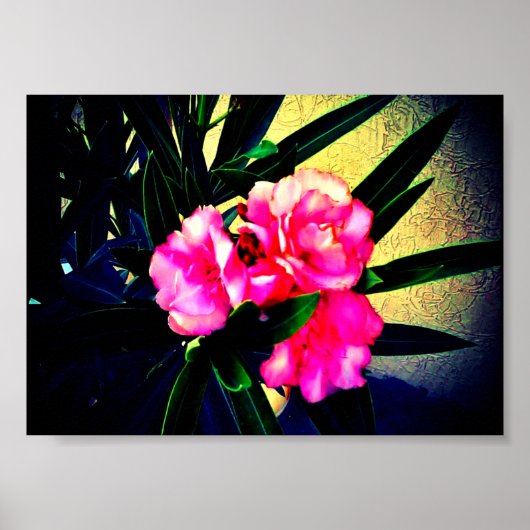 Roze bloemen poster (Voorkant)