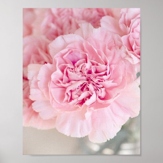 Roze bloemen poster (Voorkant)