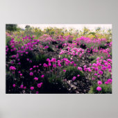 Roze bloemen poster (Voorkant)
