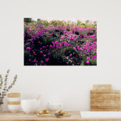 Roze bloemen poster (Keuken)
