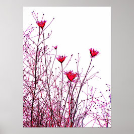 roze bloemen poster