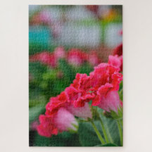 Roze Bloemen Puzzel