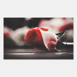  roze bloemen rechthoekige sticker